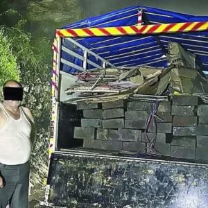 चंबा में अवैध लकड़ी की तस्करी का भंडाफोड़:पिकअप में मिले देवदार के 31 स्लीपर, दस्तावेज नहीं दिखा पाए आरोपी, ढाई लाख कीमत