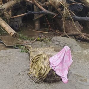 कांगड़ा में व्यास नदी में महिला का शव मिला:कुल्लू में भारी बारिश के बाद दिखा, लकड़ियों के पास पड़ा था