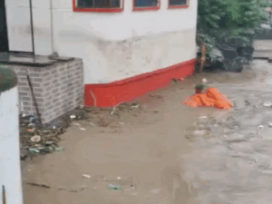 मंडी में बादल फटने से 4 लोगों की मौत:16 लापता; 117 लोगों को बचाया, घर और गोशालाएं ढहीं; NDRF का बचाव कार्य जारी