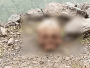 शिमला में खोपड़ी मिली:पहचान बाकी; सतलुज में महिला ने लगाई छलांग, तलाश जारी