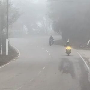 बिलासपुर में घना कोहरा और धुंंध:दृश्यता कम होने से सड़कों पर रेंगकर चले वहान, तापमान गिरा, ठंड बढ़ी