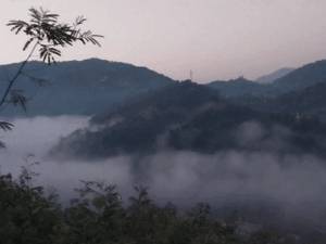 हिमाचल के कुछ हिस्सों में छाया रहेगा कोहरा:17 फरवरी से बदलेगा मौसम, ऊंचाई वाले क्षेत्रों में बारिश-बर्फबारी संभवना