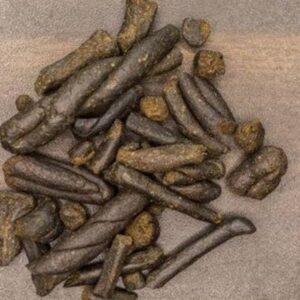 शिमला में दो नशा तस्कर गिरफ्तार:चरस बरामद, वाहन में छिपाकर लाए थे, NDPS एक्ट के तहत केस दर्ज