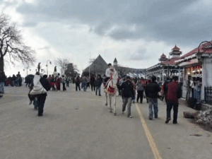 हिमाचल में आज और कल खिलेगी धूप:13 को बारिश-बर्फबारी, अधिकतम तापमान में उछाल, वेस्टर्न डिस्टरबेंस कमजोर पड़ा