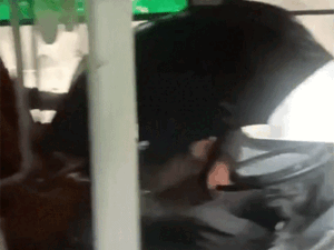 हिमाचल में छाता लेकर ड्राइवर ने चलाई बस, VIDEO:बारिश में टपक रही थी छत, यात्रियों की सुरक्षा पर सवाल, HRTC की खुली पोल