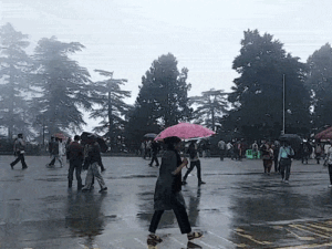 हिमाचल में आज से बदलेगा मौसम, बारिश-बर्फबारी का अलर्ट:कई जिलों में तेज हवाएं चलेंगी, बिजली गिरने का अनुमान, तापमान में 6 डिग्री की गिरावट