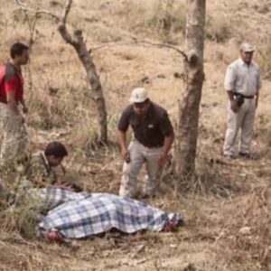 बिलासपुर में गला रेत कर व्यक्ति की हत्या:खेत में मिला खून से लथपथ शव, कुल्लू का रहने वाला, साथी से हुआ था विवाद