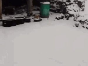 चंबा में बर्फबारी से बढ़ी ठंड, जनजीवन प्रभावित:ऊंचाई वाले क्षेत्रों में 1 फीट तक हिमपात, बागवान और किसान खुश, पर्यटन स्थलों बढ़ेगी सैलानी