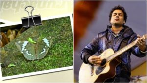 सिंगर जुबीन गर्ग के नाम पर रखा गया तितली की नई प्रजाति का नाम, जानिए क्या है इसकी खासियत?​on March 28, 2026 at 4:24 pm