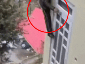 शिमला में दिनदहाड़े चोरी का प्रयास, वीडियो वायरल:घर में घुसे चोर, ताले तोड़े, सामान बिखेरा; महिला के आते ही बाइक छोड़कर फरार