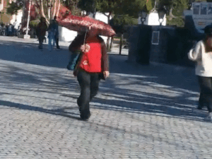 हिमाचल में कल वेस्टर्न डिस्टरबेंस एक्टिव होगा:ऊंचे पहाड़ों में बारिश-बर्फबारी, मौसम में बदलाव से पहले तापमान में भारी उछाल, रिकॉर्ड तोड़ने लगी गर्मी