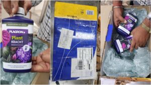 डार्कनेट ड्रग माफिया पर NCB का करारा प्रहार, ‘टीम कल्कि’ का भंडाफोड़, कई देशों तक फैला था नेटवर्क​on March 8, 2026 at 2:06 pm