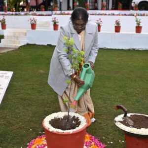 राष्ट्रपति द्रौपदी मुर्मू ने रिट्रीट में खुमानी का पौधा लगाया:व्यवस्थाओं का फीडबैक लिया, कल कृषि विश्वविद्यालय पालमपुर जाएंगी; दीक्षांत समारोह में शिरकत करेंगी