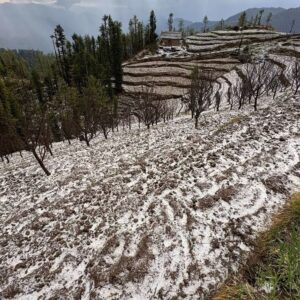 हिमाचल में जनवरी-फरवरी जैसी ठंड लौटी:3 जगह जमाव बिंदु के आसपास तापमान, ऊना का पारा सामान्य से 9.2॰C नीचे गिरा, आज ओलावृष्टि-तूफान की चेतावनी