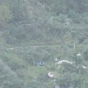 मंडी में 500 फीट गहरी खाई में गिरी कार:29 साल के युवक की मौत, अकेले जा रहा था, वाहन के अनियंत्रित होने से हादसा