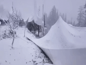 हिमाचल में सेब को बर्फबारी से नुकसान पर मुआवजा मिलेगा:बीमा योजना में एड-ऑन की तैयारी, ओलावृष्टि से डैमेज मेन कवर में नहीं जुड़ेगा