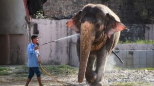 थोड़ी राहत लेकर आएगा मई का महीना, अगले तीन दिन तक जारी रहेगा गर्मी का कहर, 6 राज्यों में हीटवेव का अलर्ट​on April 27, 2026 at 1:46 am