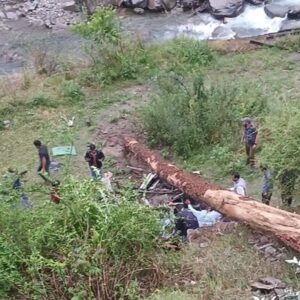 हिमाचल में तूफान में हादसा, 4 महिला टीचर्स की मौत:पेड़ गिरने से खाई में गिरी बोलेरो गाड़ी, 3 गंभीर, दो आईजीएमसी शिमला रेफर
