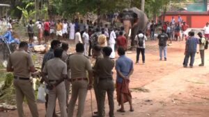केरल के 2 मंदिरों में बुरी तरह बेकाबू हुए हाथी, 2 लोगों को कुचलकर मार डाला; देखें वीडियो​on May 1, 2026 at 12:34 pm