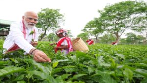 ऊपरी असम में चला ‘मोदी मैजिक’! चाय बागान के वोटरों में बीजेपी ने लगाई सेंध, बिखर गई कांग्रेस​on May 4, 2026 at 12:26 pm
