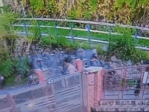 शिमला में हरियाणवी स्कूल संचालिका के मर्डर का VIDEO:मास्क पहने 2 शूटरों ने 5 राउंड फायर किया, मनीषा के सिर में गोली मारी