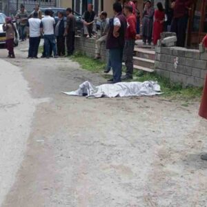 ​कुल्लू में नशे धुत दिल्ली के युवक की हैवानियत:पहले राहगीर को कार से मारी टक्कर, फिर रिवर्स कर तड़पते घायल को कुचला, मौके पर मौत