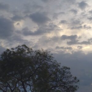 हिमाचल में अगले 6 दिन खराब रहेगा मौसम:1 से 3 जुलाई तक भारी बारिश का अलर्ट; मानसून दे सकता है दस्तक
