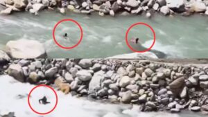 हिमाचल प्रदेश: कुल्लू में फोटो खिंचवाते समय पंजाब के 3 पर्यटक नदी के तेज बहाव में बहे, सामने आया VIDEO​on June 9, 2026 at 6:15 pm