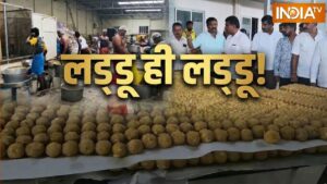 VIDEO: सीएम की शपथ से पहले कभी ऐसा जश्न देखा है? कर्नाटक के नेलमंगला में बंटेंगे 10 लाख लड्डू​on June 2, 2026 at 1:30 pm