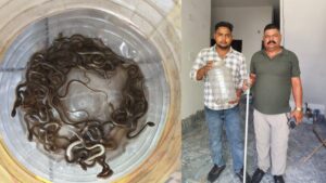 पानी का टंकी खोला तो उड़ गए होश, अंदर मौजूद थे 27 सांप, खौफनाक Video आया सामने​on June 9, 2026 at 10:47 am