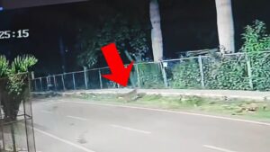 बेंगलुरु में दिखा तेंदुआ, सड़क पर खुलेआम चक्कर लगाता नजर आया; CCTV में कैद हुई मूवमेंट​on July 11, 2026 at 12:19 pm