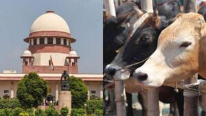 तमिलनाडु में गोवध पर पूर्ण प्रतिबंध का मामला पहुंचा सुप्रीम कोर्ट, आखिर क्या है विवाद?​on July 1, 2026 at 6:33 am