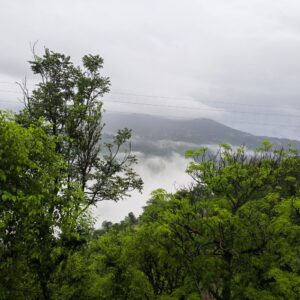 हिमाचल में कमजोर पड़ा मानसून:अगले 5 दिन मौसम साफ रहने के आसार; अधिकतम तापमान में 3 डिग्री की होगी बढ़ोतरी