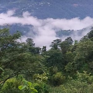 हिमाचल में आज से 5 दिन भारी बारिश का अलर्ट:13 अगस्त तक बरसेंगे बादल; कई क्षेत्रों में भूस्खलन का खतरा