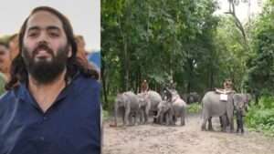 अनंत अंबानी के वनतारा ने असम की बाढ़ में फंसे हाथियों को सुरक्षित बाहर निकाला, CM हिमंता ने कहा थैंक्यू​on August 12, 2026 at 6:18 pm
