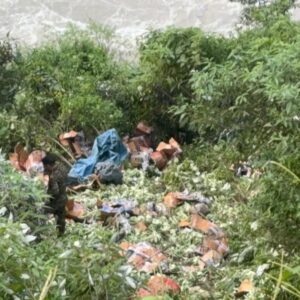 मंडी की ब्यास नदी में गिरा वाहन, ड्राइवर लापता:गोभी लेकर जा रहा था पंजाब; झाड़ियों में मिला मोबाइल-ड्राइविंग लाइसेंस; सर्च ऑपरेशन चलाया