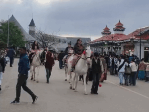 ठियोग में भारी बारिश, 4 जिलों में आज यलो अलर्ट:अगले 6 दिन बरसेंगे बादल, जुलाई में सामान्य से 6% अधिक वर्षा दर्ज