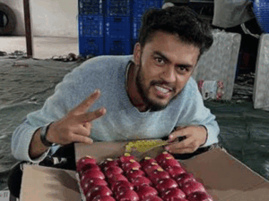 हिमाचली सेब को देश के कोने-कोने में पहुंचाएगा रेलवे:शिमला में आज बनेगा ढुलाई का रोडमैप; इंडियन रेलवे के साथ मार्केटिंग बोर्ड की अहम बैठक