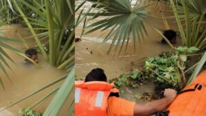 भीषण बाढ़ में बहकर लापता हो गया था युवक, 5 दिन बाद मिला, कुछ इस तरह बचा ली अपनी जान​on August 18, 2026 at 2:01 pm