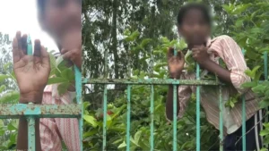 लोहे की ग्रिल पर गिरी फूल तोड़ने गई बच्ची, हाथ में घुस गया सरिया, AIIMS में हुई सर्जरी​on August 31, 2026 at 10:43 am