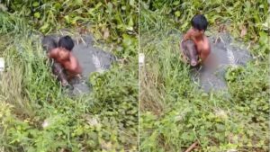जब जंगली सूअर से अकेले ही भिड़ गया 14 साल का बच्चा, कायम कर दी बहादुरी की मिसाल​on August 25, 2026 at 2:15 pm