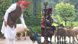 ‘दोस्त’ मोर को दिया दाना, गाय को खिलाया चारा; पीएम मोदी ने शेयर किया स्वतंत्रता दिवस का खास वीडियो​on August 16, 2026 at 8:08 am