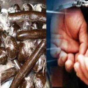 कुल्लू पुलिस ने प्राइवेट बस से 2.343 किलो चरस पकड़ी:चेकिंग के दौरान केरल के 2 युवक गिरफ्तार; आरोपियों से पूछताछ में जुटी पुलिस