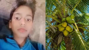 11 साल बच्चे के सिर पर पेड़ से गिर गया नारियल, इलाज के दौरान मौत, परिवार के लिए राहत सामग्री लेने गया था​on September 3, 2026 at 8:28 am