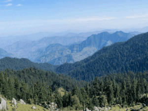 हिमाचल में चंडीगढ़ के 5 श्रद्धालु लापता:तीन 2 घंटे बाद ट्रैक पर लौटे; 2 का सुराग नहीं, चूड़धार के जंगल में रास्ता भटके