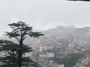 हिमाचल में 3 दिन अच्छी बारिश होगी:3॰C तक गिरेगा तापमान, 18 से कमजोर पड़ेगा मानसून, बाढ़-बारिश से 1683 करोड़ की संपत्ति तबाह