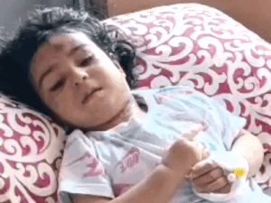 शिमला में 20 माह की बच्ची पर कुत्तों का हमला:आंगन में खेल रही थी, 30 मीटर तक घसीटा, पूरे शरीर पर कई चोटें
