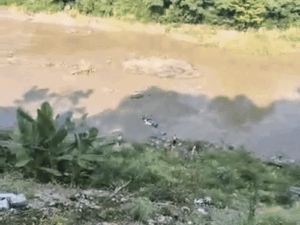 हिमाचल-कार एक्सीडेंट में बैंक मैनेजर की मौत:150 फीट नीचे खड्ड में गिरी, सुकेती खड्डी में पहुंची गाड़ी; पुलघराट में हादसा
