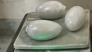 अंडरगारमेंट्स में छिपाकर बांग्लादेशी ला रहा था सोना बनाने वाले केमिकल पेस्ट से भरे 1.5 KG वजन के 3 कैप्सूल, CISF ने ऐसे दबोचा​on September 16, 2026 at 3:05 am