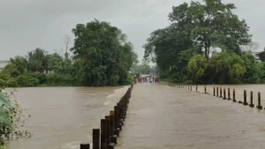 ओडिशा के कोरापुट में 3 दिनों से लगातार बारिश, बाढ़ से कई गांवों का आसपास के इलाकों से संपर्क टूटा, देखें VIDEO​on September 26, 2026 at 3:17 am